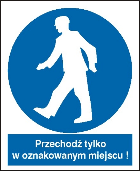 Nakaz przechodzenia w oznakowanym miejscu
